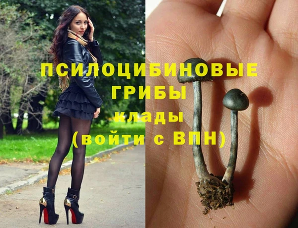 винт Алзамай
