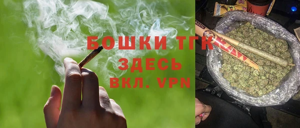 прущие грибы Алексеевка