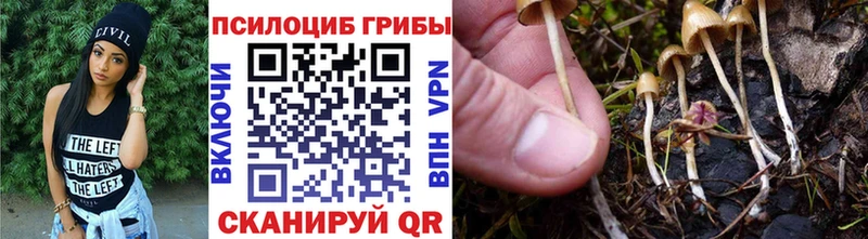 Галлюциногенные грибы ЛСД  Льгов 